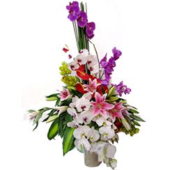 Dien hoa Bac giang | Hoa tươi Bắc Giang | Dịch vụ điện hoa tại bắc giang
