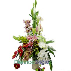 Dien hoa Ha Tinh | Điện hoa Hà Tĩnh | Dịch vụ điện hoa về Hà Tĩnh
