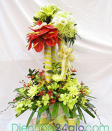 Shop hoa tươi | Dien hoa chuc mung
