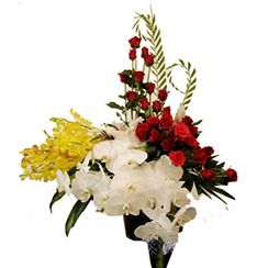 Hanoi Flowers, Hanoi Florist & Flower Shop- Florist Flower Delivery To Hanoi, Saigon, Ho Chi Minh City, Nha Trang, Vung tau, Vietnam(VN)- Send Flower To Vietnam(VN) Flower Same Day Delivery Flowers To Thanh Xuan Dist, Dong Da Distric, Hai Ba Trung District