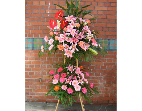 Dienhoa, dien hoa, dien hoa viet nam, sending flowers to vietnam