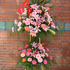 Dienhoa, dien hoa, dien hoa viet nam, sending flowers to vietnam