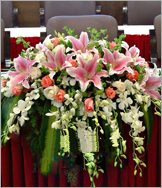 Điện hoa Quảng Trị