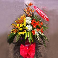 shop hoa, hoa tươi nha trang, hoa tươi đồng nai