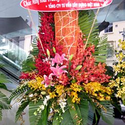 Hoa tươi nha trang, hoa tươi phan thiết, hoa tươi vũng tàu