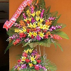 Hoa chúc mừng | Gửi điện hoa chúc mừng