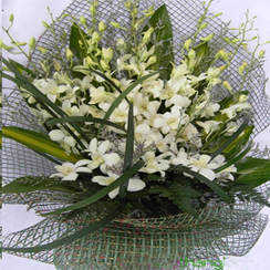 Free Delivery to Ha Noi | Free Delivery to Da Nang