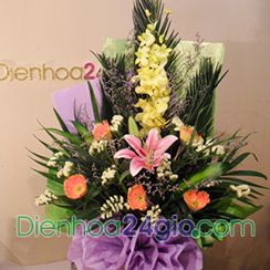 Flowers | Gift to Viet Nam | Tra Vinh