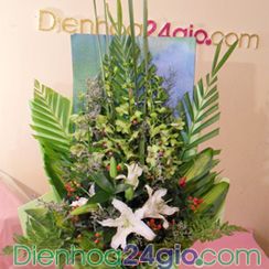 Flower Shop in Viet Nam | Paypal, visa