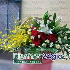 Hoatuoi, shophoa, hoatuoihanoi, hoa tuoi ha noi, hoa tuoi sai gon