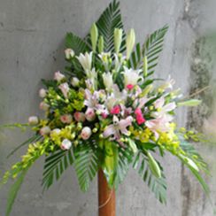 Hoa hồng song hỷ, dịch điện hoa uy tín