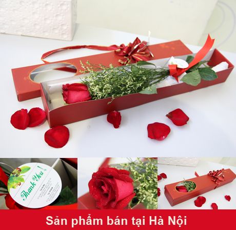 Gio hoa chuc mung