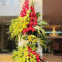 Hoa sự kiện VN
