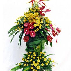 Lẵng hoa chúc mừng