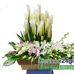 Shop hoa tươi online