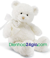 thu nhoi bong, send flowers to vietnam, send flower to vietnam
